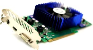 Karta graficzna Gainward GeForce 8800 GS 384 MB BP8800GS384HDMIDD 3