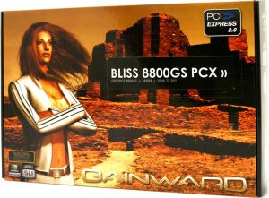 Karta graficzna Gainward GeForce 8800 GS 384 MB BP8800GS384HDMIDD 5