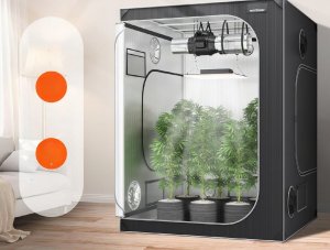 Namiot do uprawy roślin namiot uprawowy 152 x 152 x 203 cm 10