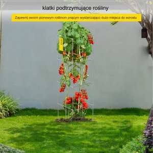 PODPÓRKI TYCZKI DO POMIDORÓW RÓŻ PERGOLA ROŚLIN KWIATY 10 SZT. 13