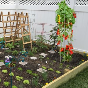 PODPÓRKI TYCZKI DO POMIDORÓW RÓŻ PERGOLA ROŚLIN KWIATY 10 SZT. 2