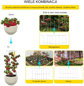PODPÓRKI TYCZKI DO POMIDORÓW RÓŻ PERGOLA ROŚLIN KWIATY 10 SZT. 10