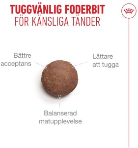 Royal Canin Ageing +11 karma sucha dla kotów dojrzałych 2kg 3