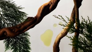 Rituals Homme Men's Care Set kūno priežiūros priemonių rinkinys vyrams 2