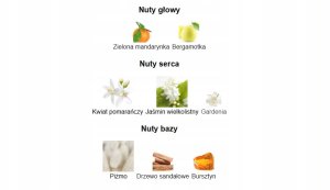 Khadlaj Cashmere Sunshine Musk EDP U 100 ml 5