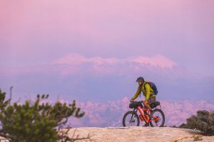 Kanteen Wide (mit Wide Loop Cap), 1182ml/40oz, Brushed Stainless 5