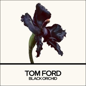 TOM FORD BLACK ORCHID RESERVE PARFUM (M/W) EDP/S 50ML 2