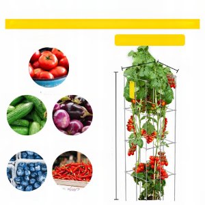 PODPÓRKI TYCZKI DO POMIDORÓW RÓŻ PERGOLA ROŚLIN KWIATY 3 SZT. 4