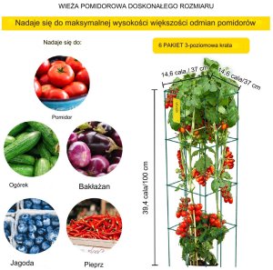 PODPÓRKI TYCZKI DO POMIDORÓW RÓŻ PERGOLA ROŚLIN KWIATY 3 SZT. 8