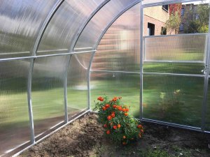 Szklarnia z poliwęglanu Tunel ogrodowy 3x6 m profile 20x20 poliwęglan 6mm 8
