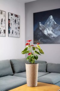 Adoni Doniczka jutowa boho z wkładem 36 cm – ręcznie robiona (adoni36) 3