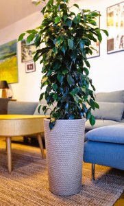 Adoni Doniczka jutowa z wkładem śr. 28cm wys. 47cm (adoni47) 10