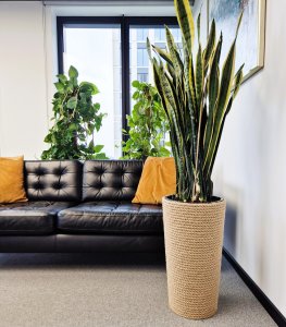 Adoni Doniczka jutowa z wkładem śr. 32cm wys. 57cm (adoni57) 5