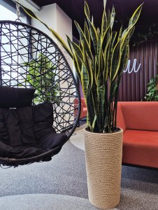 Adoni Doniczka jutowa z wkładem śr. 32cm wys. 57cm (adoni57) 7