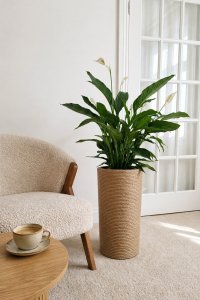 Adoni Doniczka jutowa boho z wkładem 75 cm – ręcznie robiona (adoni75) 7