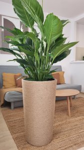 Adoni Doniczka jutowa z wkładem śr. 44cm wys. 75cm (adoni75) 5