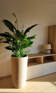 Adoni Doniczka jutowa z wkładem śr. 44cm wys. 75cm (adoni75) 6