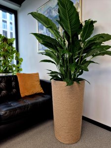 Adoni Doniczka jutowa z wkładem śr. 44cm wys. 75cm (adoni75) 7