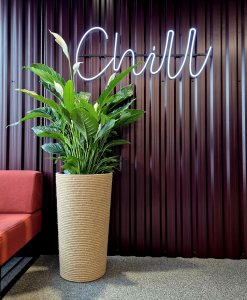 Adoni Doniczka jutowa z wkładem śr. 44cm wys. 75cm (adoni75) 8