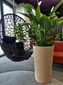 Adoni Doniczka jutowa z wkładem śr. 44cm wys. 75cm (adoni75) 9