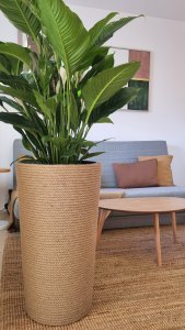 Adoni Doniczka jutowa z wkładem śr. 44cm wys. 75cm (adoni75) 10