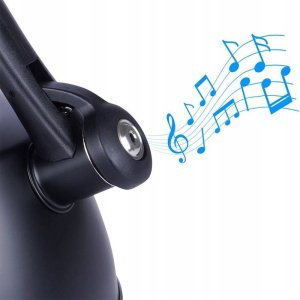 Czajnik na Gaz Indukcja z Gwizdkiem Termometrem Stalowy Czarny VILDE 3 l 5