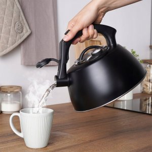 Czajnik na Gaz Indukcja z Gwizdkiem Termometrem Stalowy Czarny VILDE 3 l 8