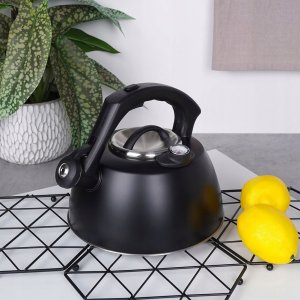 Czajnik na Gaz Indukcja z Gwizdkiem Termometrem Stalowy Czarny VILDE 3 l 9