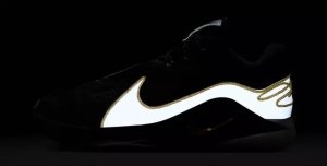 Buty do koszykówki NIKE LeBron XXII Mogul (HV8454 100) 44 8