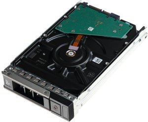 Dysk serwerowy HDD z kieszenią DELL Seagate EXOS 7E8 3.5'' 1TB ST1000NM004A 3