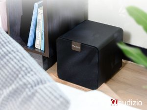 Aktywny subwoofer SW80D 160W Audizio one size 14