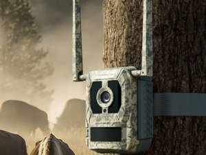 Reolink Talon Series T130 2