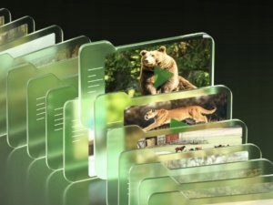 Reolink Talon Series T130 4