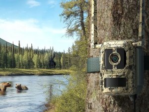 Reolink Talon Series T130 5