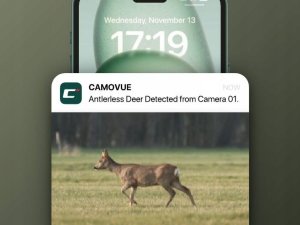 Reolink Talon Series T130 7