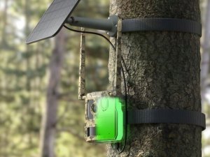 Reolink Talon Series T130 8