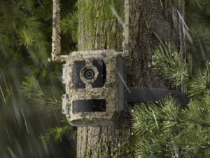 Reolink Talon Series T130 10