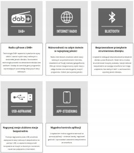 Radio Telestar TELESTAR TOP 250 Drewno Radia wielofunkcyjne Stacjonarne 4