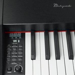 Pianino cyfrowe 88 klawiszy Aria I Mielczewski one size 22