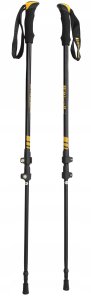 KIJKI DO NORDIC WALKING DO CHODZENIA REGULOWANE TREKKINGOWE RIWALL RSP-01 4