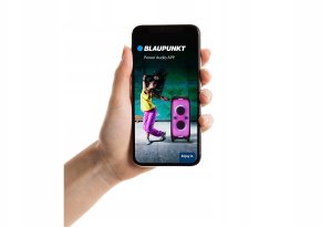 Nešiojama kolonėlė Blaupunkt Party Box PB100X 3