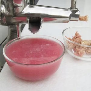Wyciskarka do cytrusów Brunbeste WYCISKARKA ŻELIWNA DO OWOCÓW WARZYW SOKU BRUNBESTE BB-2514 7