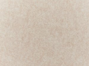 Beliani Przegroda na biurko 80 x 50 cm beżowa SPLIT 11