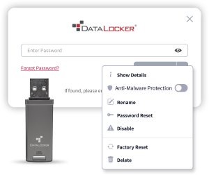DATALOCKER 64GB DL GO 256BIT/AES XTS USB-STICK FIPS 197 MFA 27