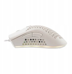 Baracuda BGM-031 Coral biały 3