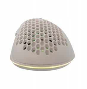 Baracuda BGM-031 Coral biały 6