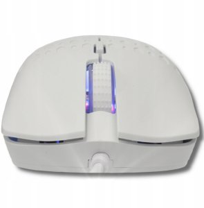 Baracuda BGM-022 Octopus biały 7