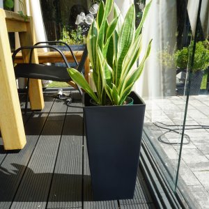 Doniczka kwadratowa matowa 30cm z wkładem Donica + wkład dystansowy 6