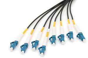 Digitus Zakończony fabrycznie uniwersalny kabel światłowodowy typu breakout, wielomodowy OS2, 8 włókien, LC/UPC LC/UPC 4