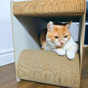 Mruu&Pruu DRAPAK DLA KOTA KARTONOWY PIWO WIELKI PROSTOKĄT 59x39x27 cm 3